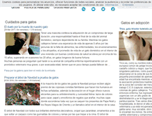 Tablet Screenshot of besosdegato.com